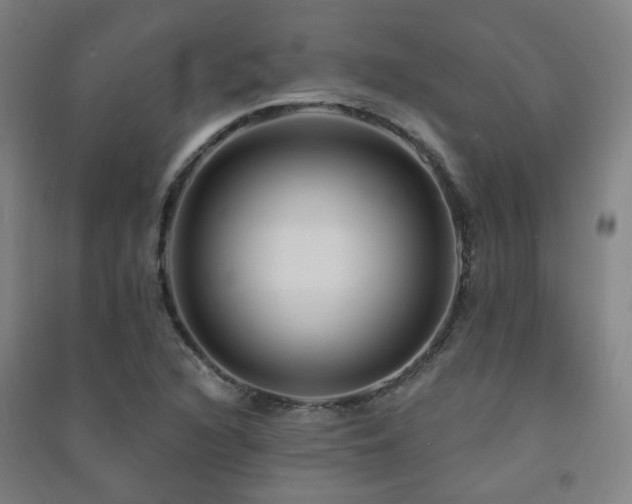 X0000091471216200708161352