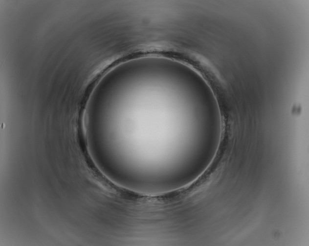 X0000091471217200708161352