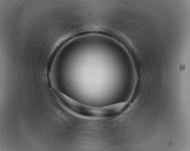 X0000091471218200708161352