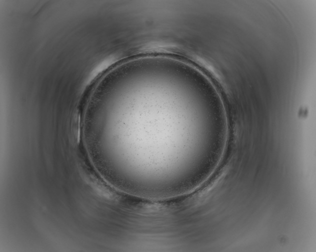 X0000091471219200708161352