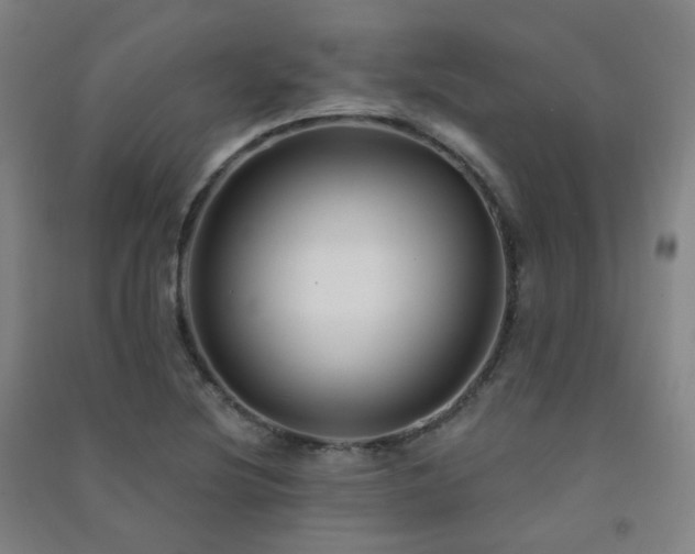 X0000091471220200708161352