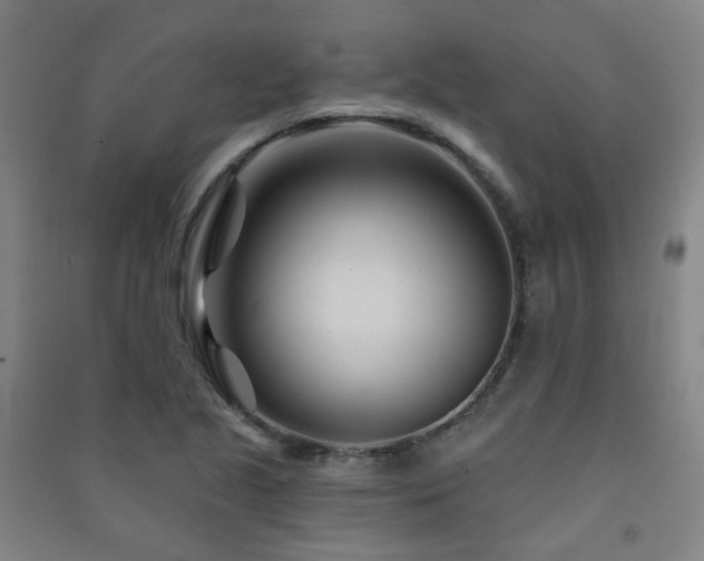 X0000091471221200708161352