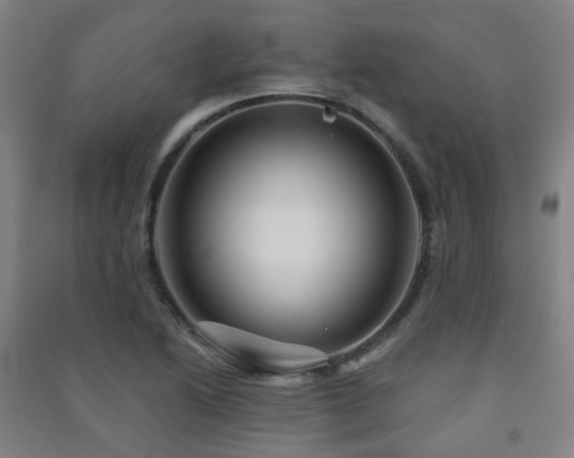 X0000091471222200708161352