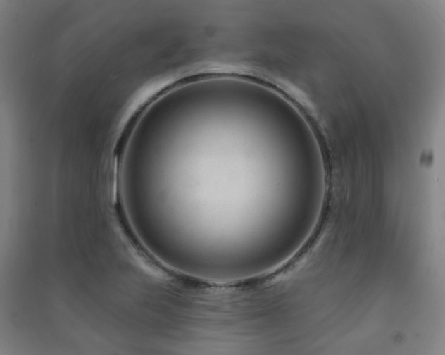 X0000091471223200708161352