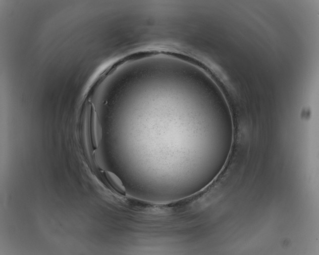 X0000091471224200708161352