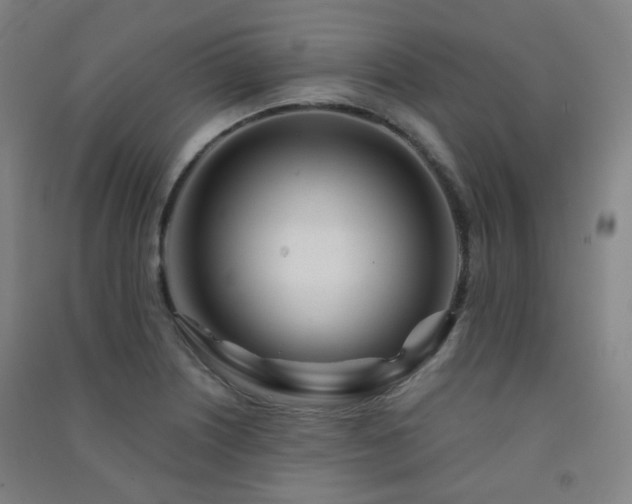 X0000091471226200708161352