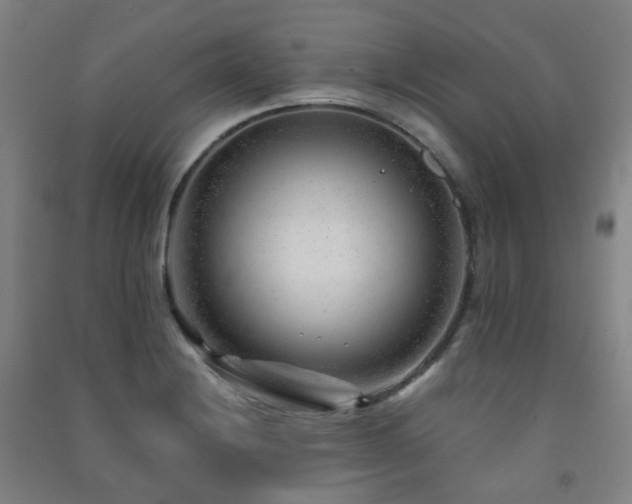 X0000091471228200708161352