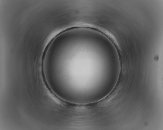 X0000091471231200708161352