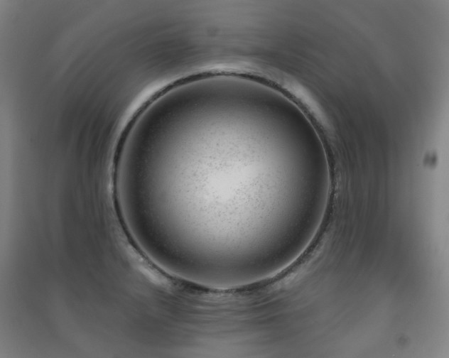 X0000091471232200708161352