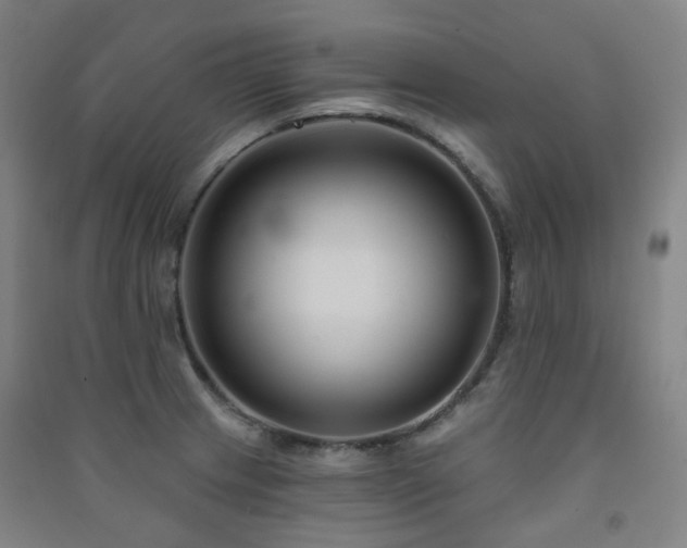 X0000091471233200708161352