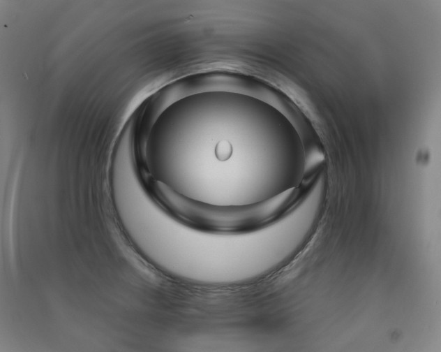 X0000091471234200708161352