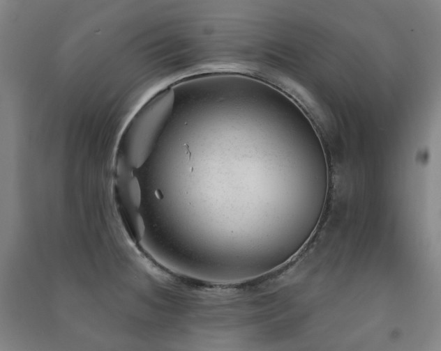 X0000091471236200708161352