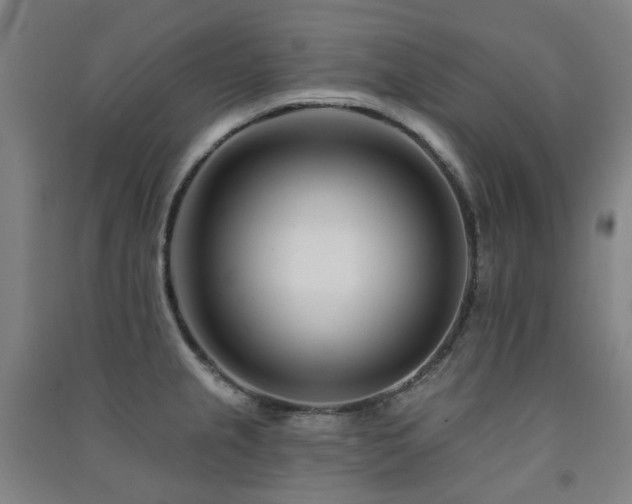 X0000091471237200708161352