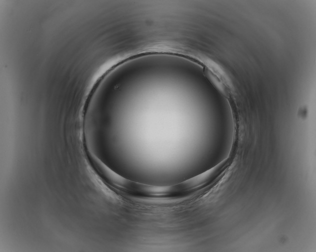 X0000091471238200708161352
