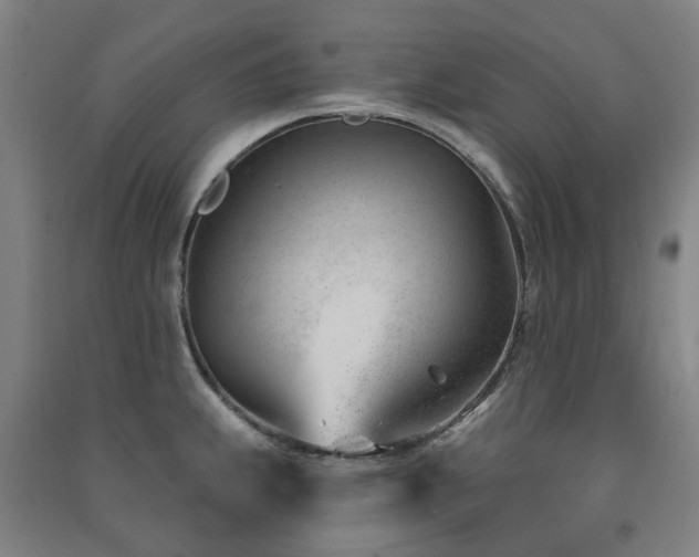 X0000091471239200708161352
