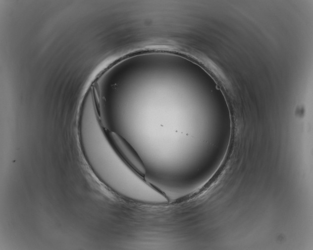 X0000091471240200708161352