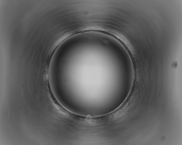 X0000091471241200708161352