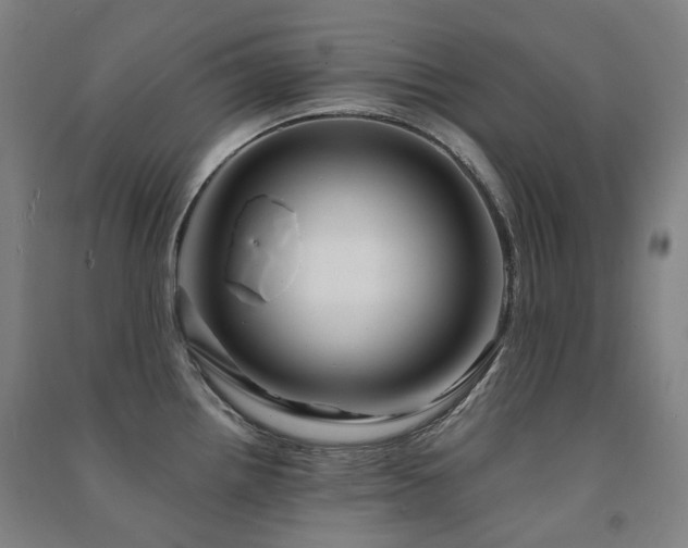 X0000091471242200708161352
