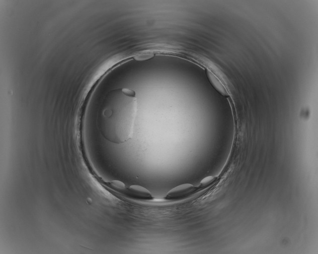X0000091471243200708161352