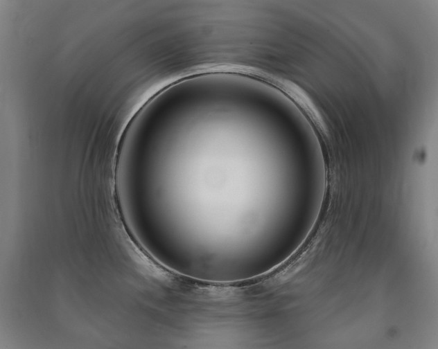 X0000091471244200708161352