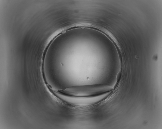 X0000091471245200708161352