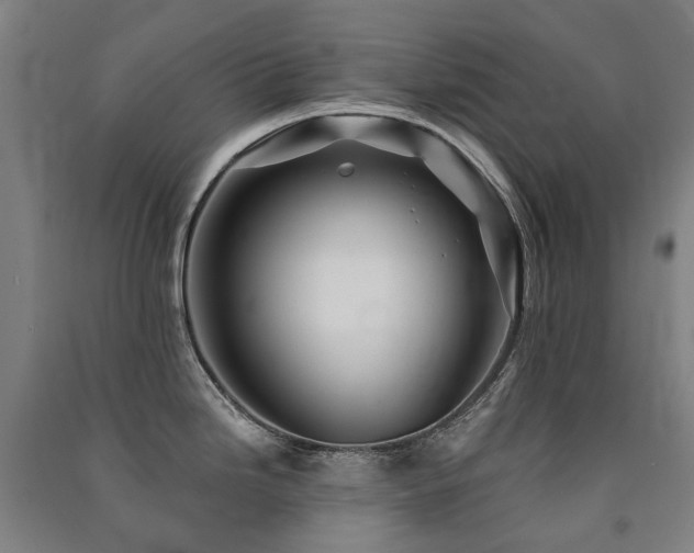 X0000091471246200708161352