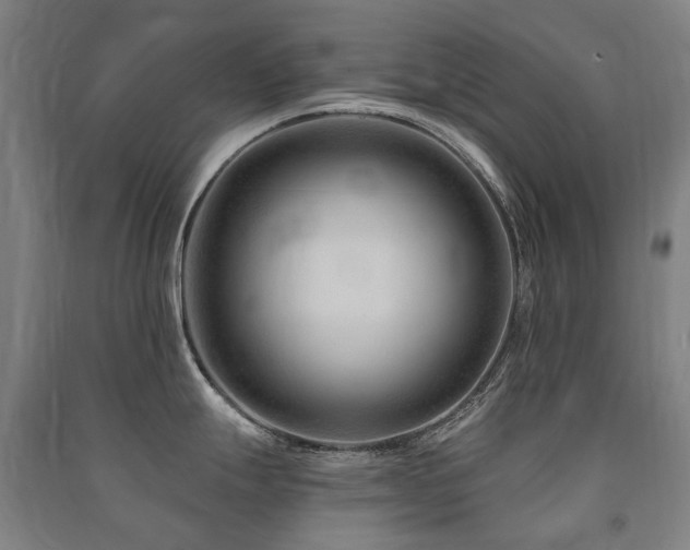 X0000091471247200708161352