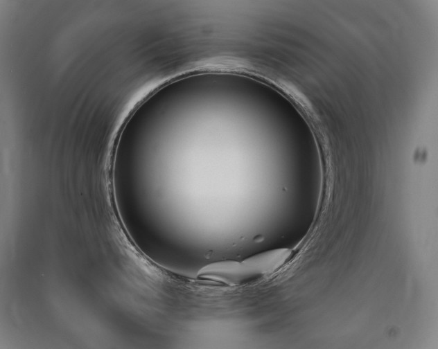X0000091471248200708161352