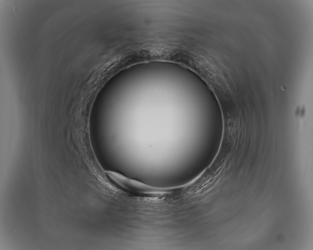 X0000091471249200708161352