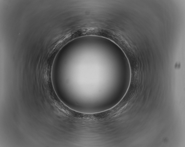 X0000091471250200708161352