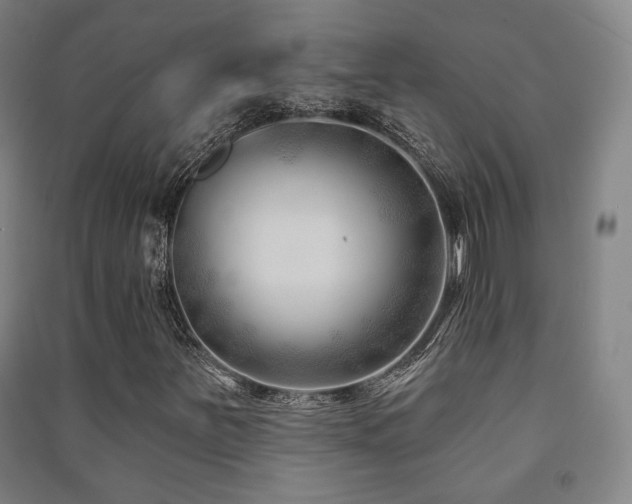 X0000091471251200708161352