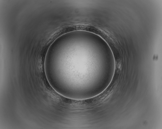 X0000091471252200708161352