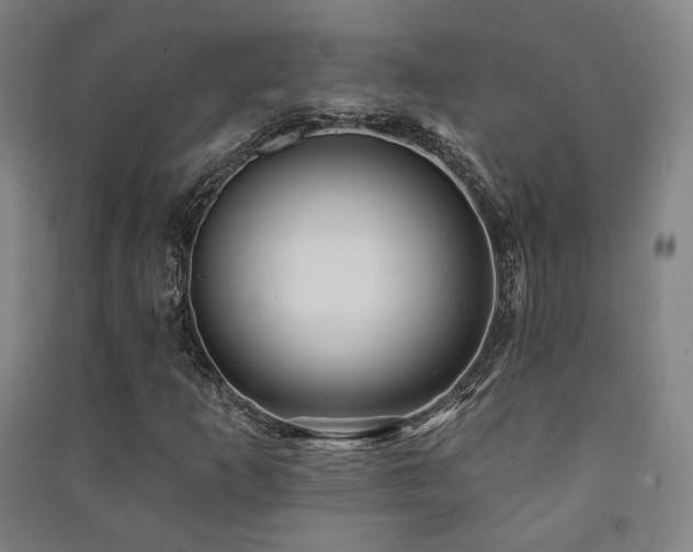 X0000091471253200708161352