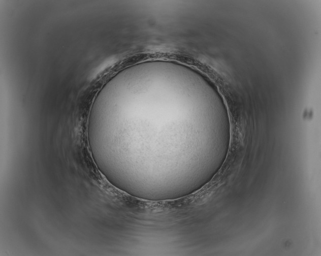 X0000091471254200708161352