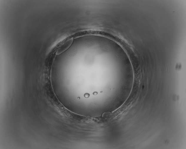 X0000091471255200708161352
