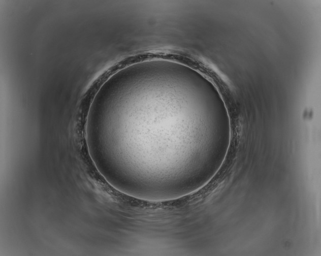 X0000091471256200708161352