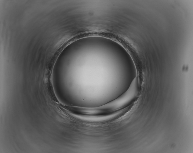 X0000091471257200708161352