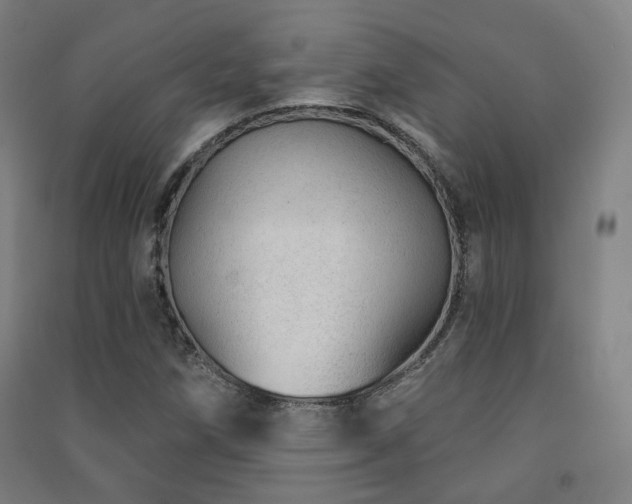 X0000091471258200708161352