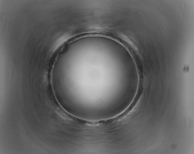 X0000091471259200708161352