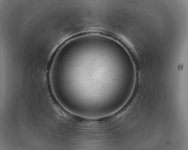 X0000091471260200708161352