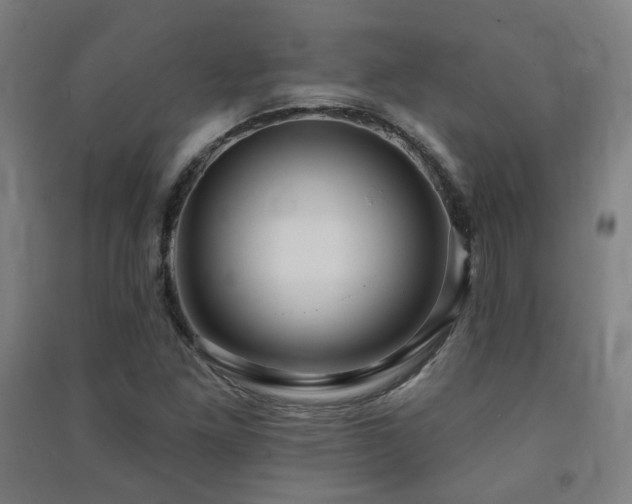 X0000091471261200708161352