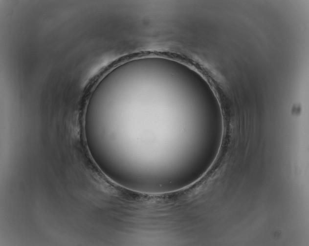 X0000091471262200708161352