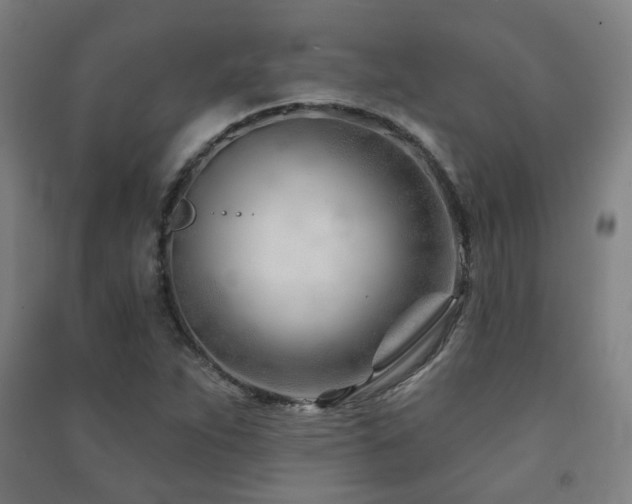 X0000091471263200708161352