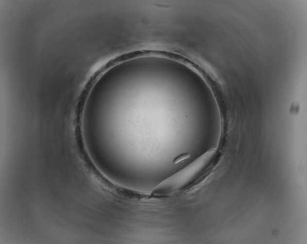 X0000091471264200708161352
