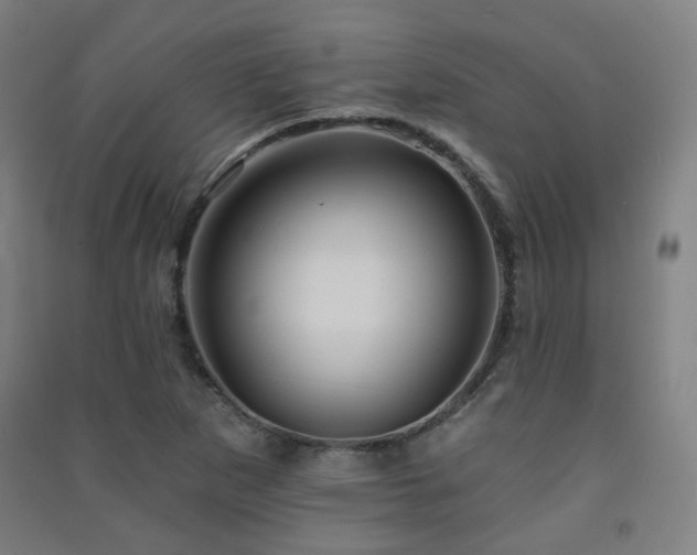X0000091471265200708161352