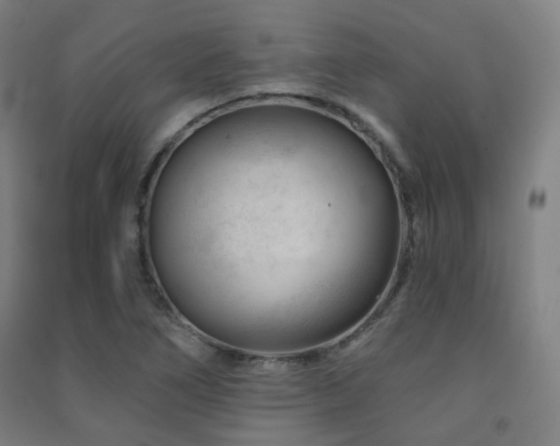 X0000091471266200708161352