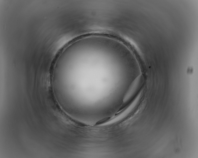 X0000091471267200708161352