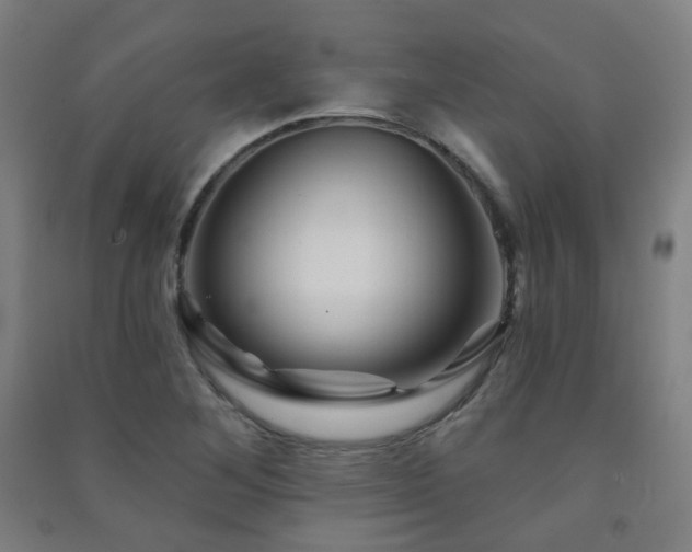 X0000091471268200708161352