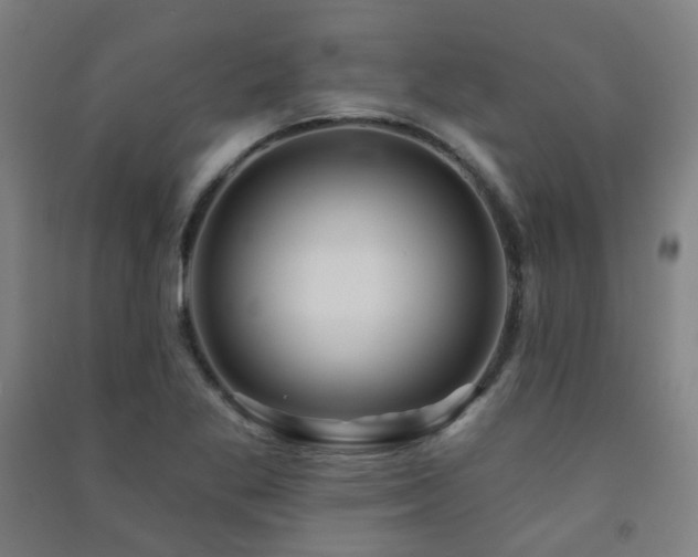 X0000091471269200708161352