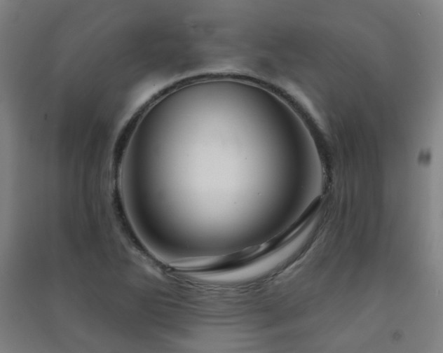 X0000091471270200708161352